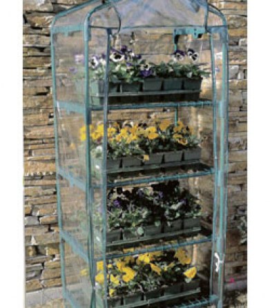 4-tier-greenhouse
